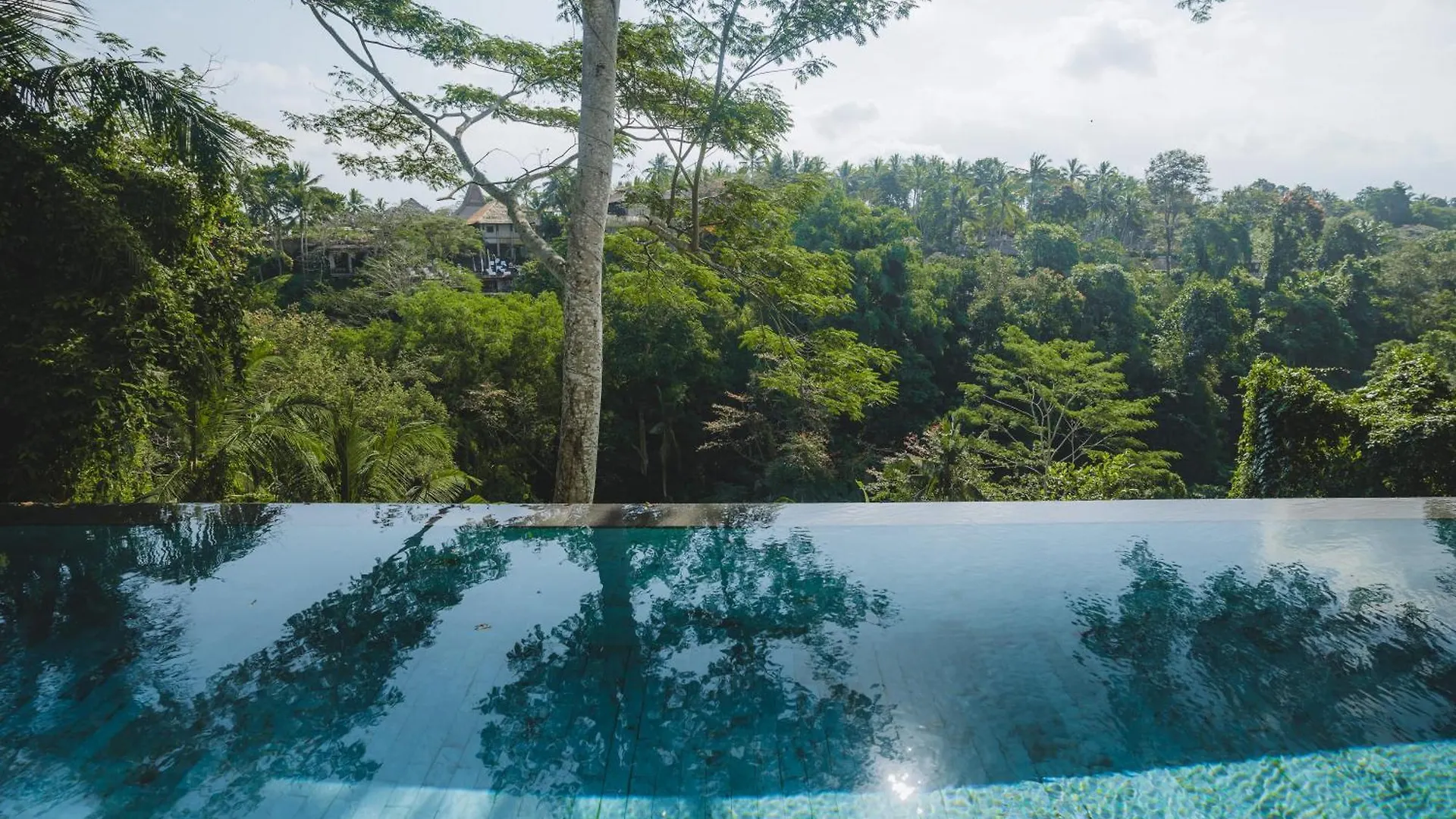 Отель The Hidden Paradise Ubud - Chse Certified